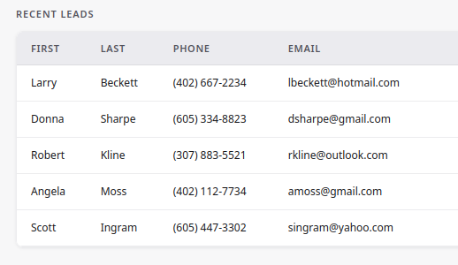 Recent leads in the Sudle CRM — names, phone numbers, and emails, clearly listed
